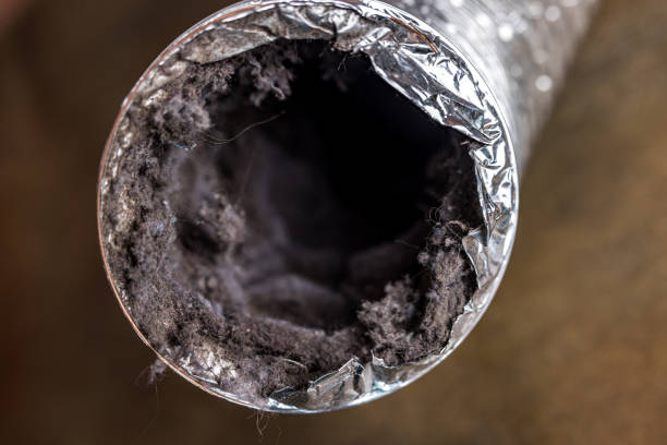  North Palm Beach, FL Airduct Cleaning Pros