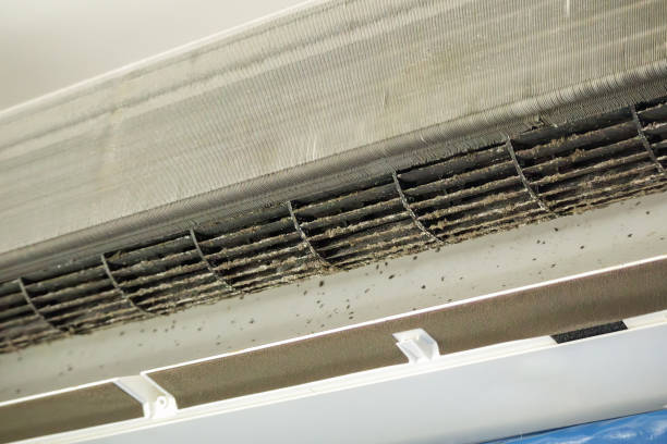 Best Air Duct Cleaning Near Me  in North Palm Beach, FL